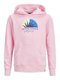 Hoodie Sweatshirt